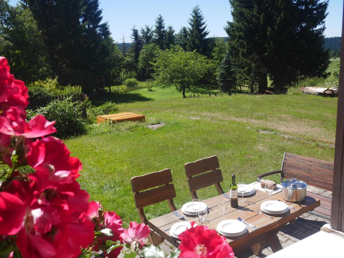 Sofia House Villa Abertamy Eksteriør billede